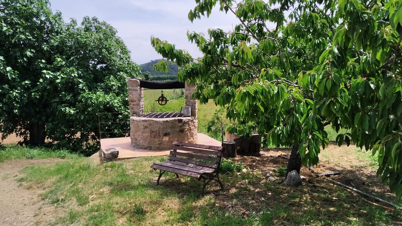 Photo of Outdoor in Casavells