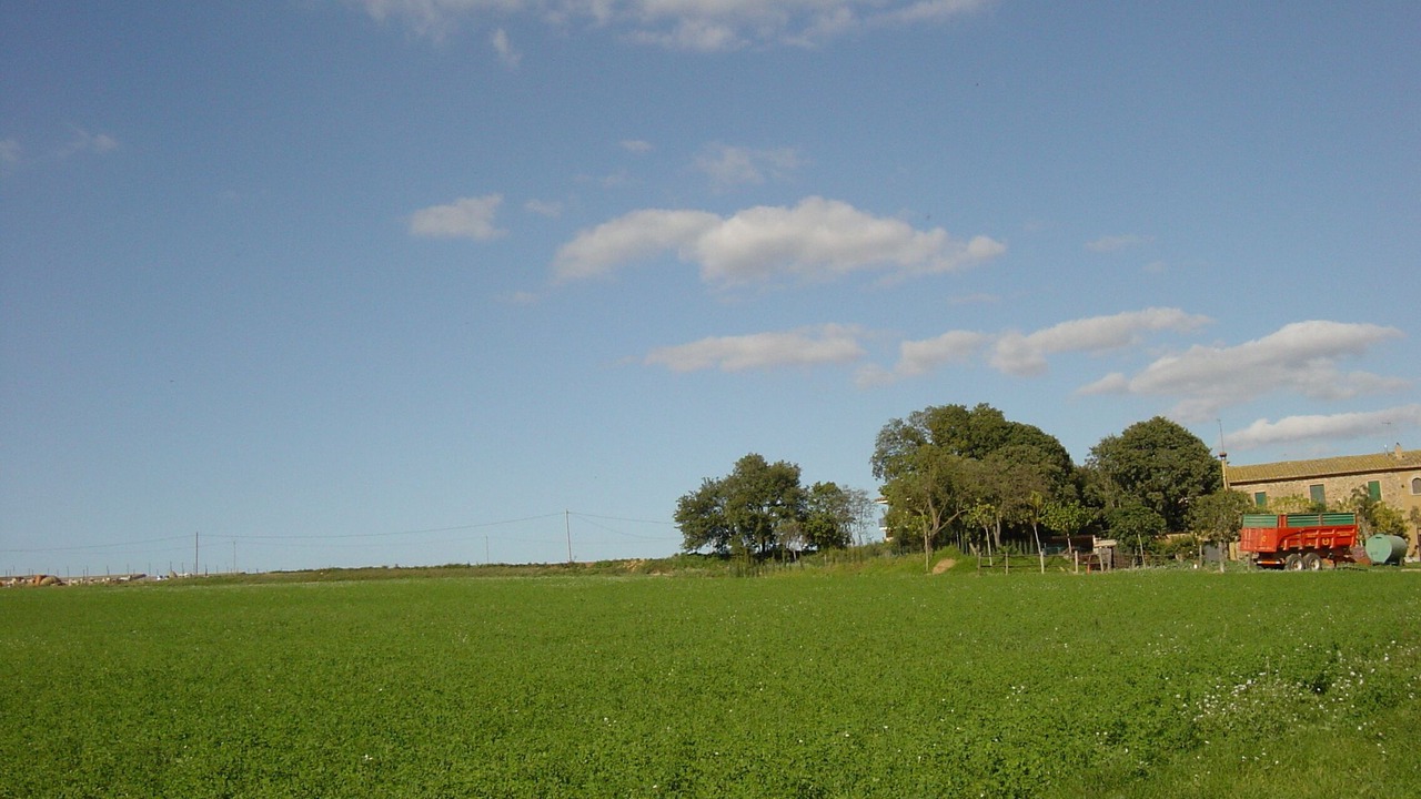 Photo of Outdoor in Casavells