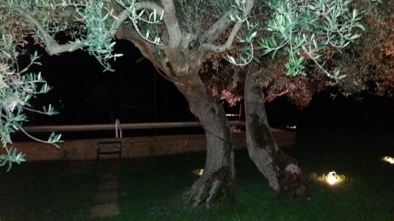 Photo of Outdoor in Montelovesco