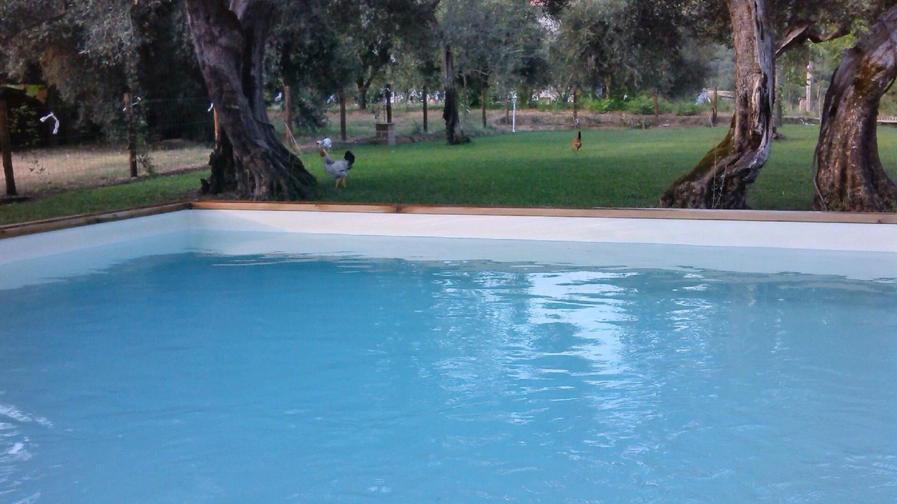 Photo of Outdoor in Montelovesco