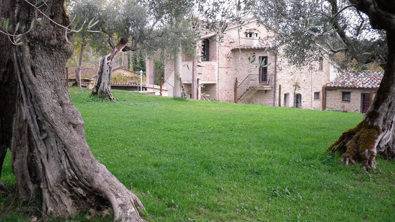 Photo of Outdoor in Montelovesco