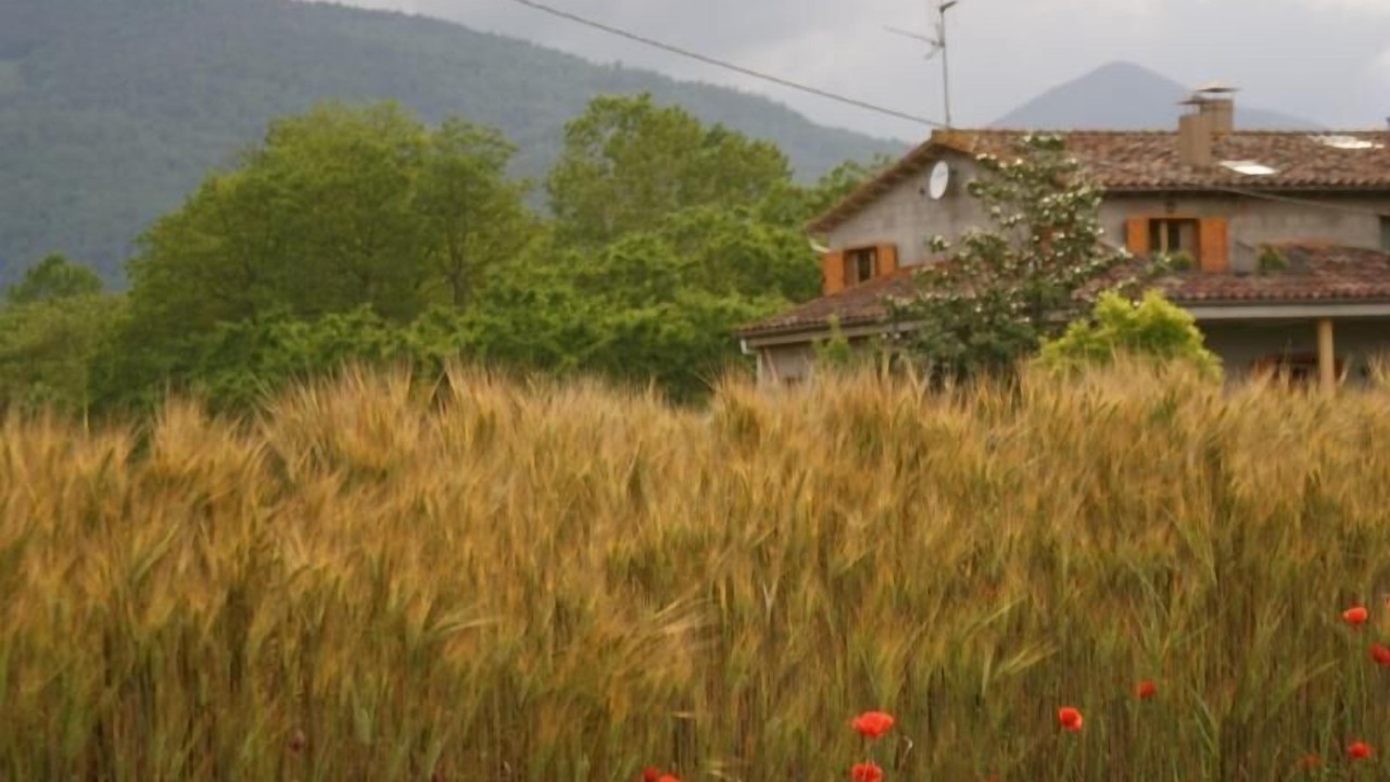 Photo of Outdoor in La Vall de Bianya