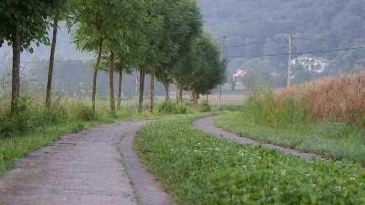 Photo of Outdoor in La Vall de Bianya