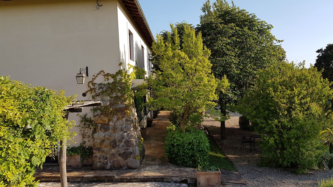Photo of Outdoor in Vitorchiano