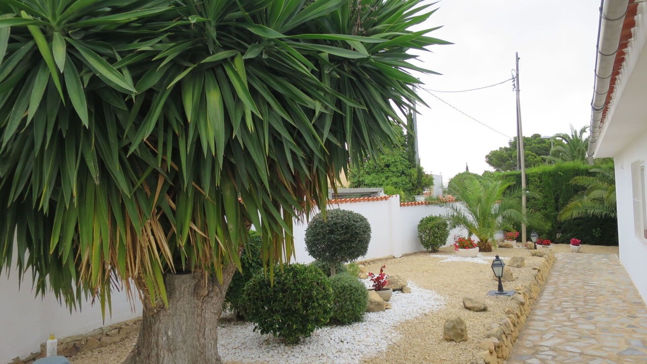 Photo of Others in La Colina