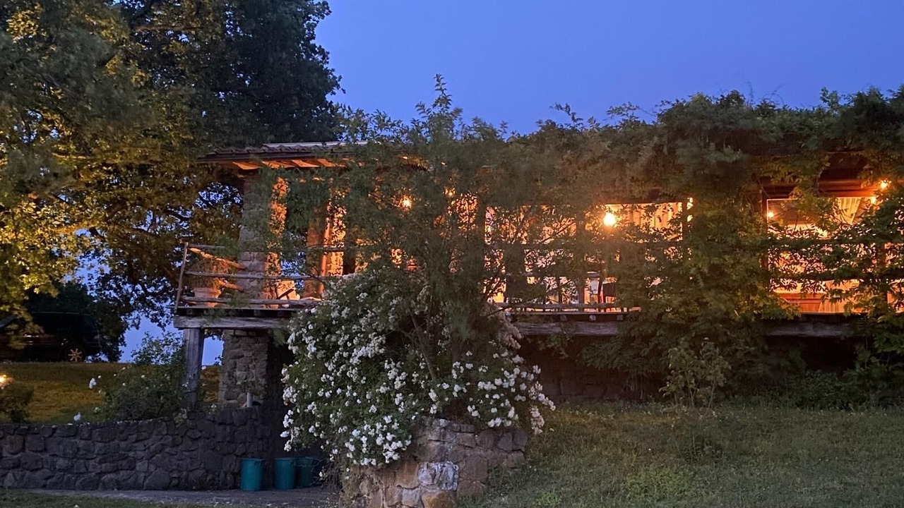 Photo of Outdoor in Vitorchiano