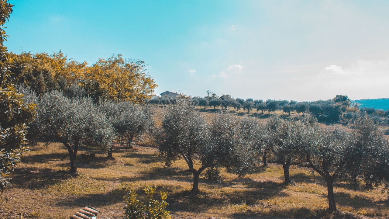 Photo of Outdoor in Canosa Sannita