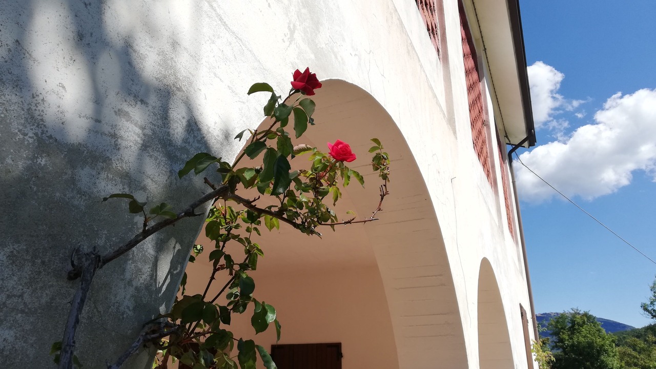 Photo of Outdoor in Bedonia
