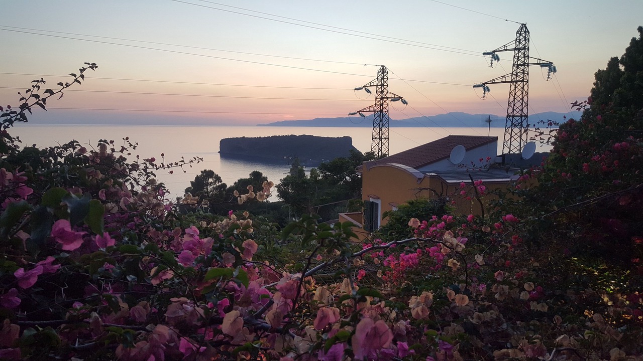Photo of Others in San Nicola Arcella
