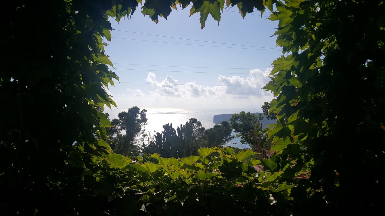 Photo of Outdoor in San Nicola Arcella
