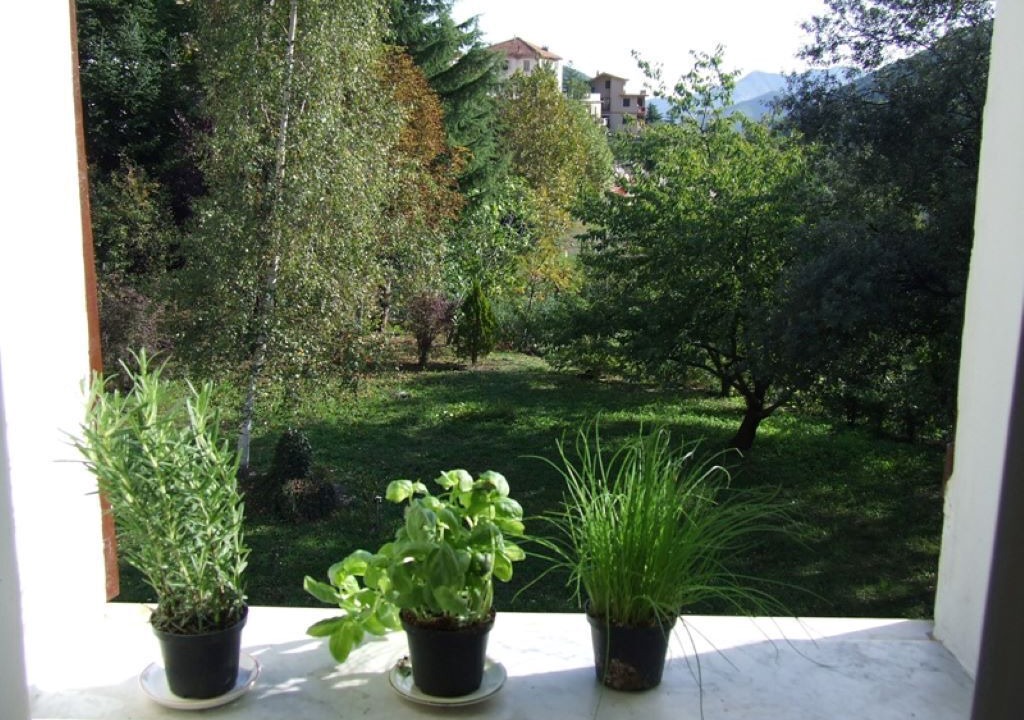 Photo of Others in Rezzo