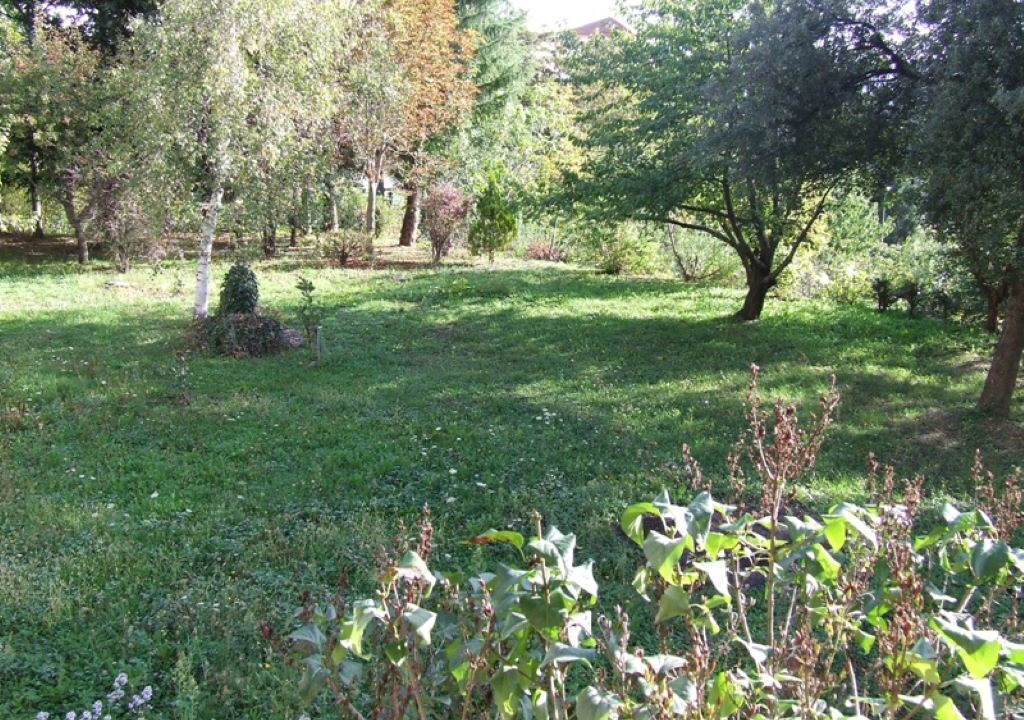 Photo of Outdoor in Rezzo