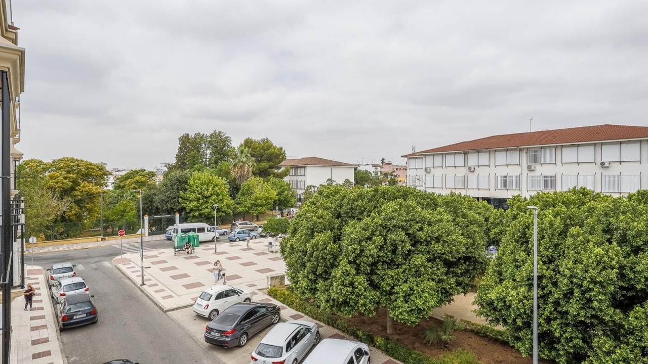 Photo of Outdoor in Alcala Del Rio