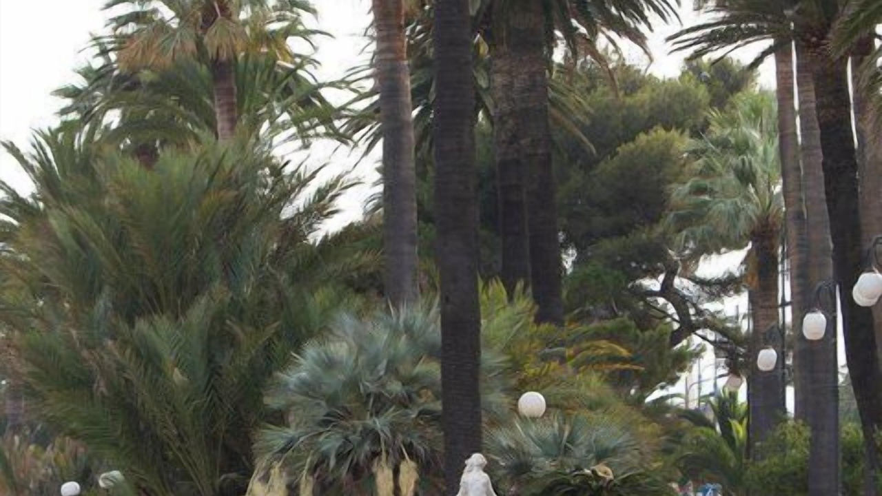 Photo of Others in Sanremo