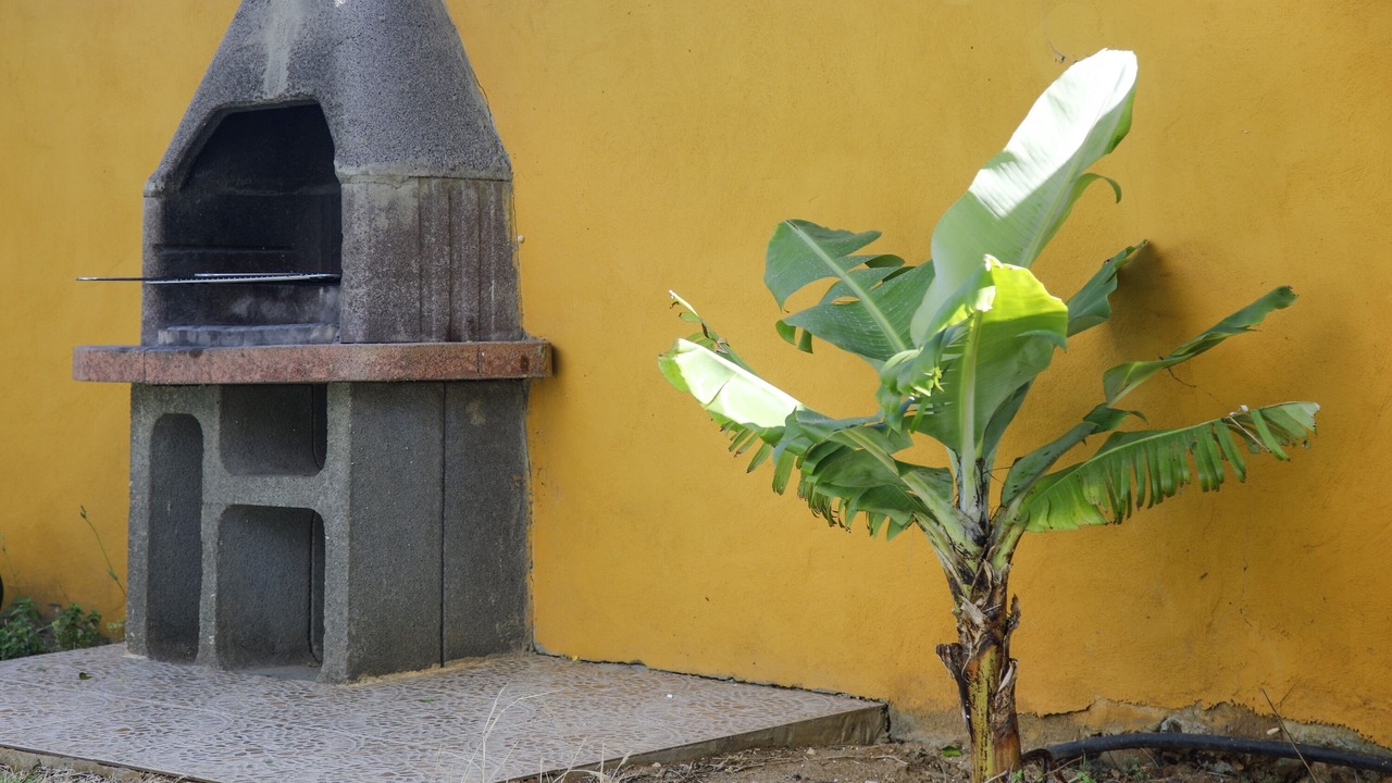 Photo of Patio Balcony in Conil de la Frontera