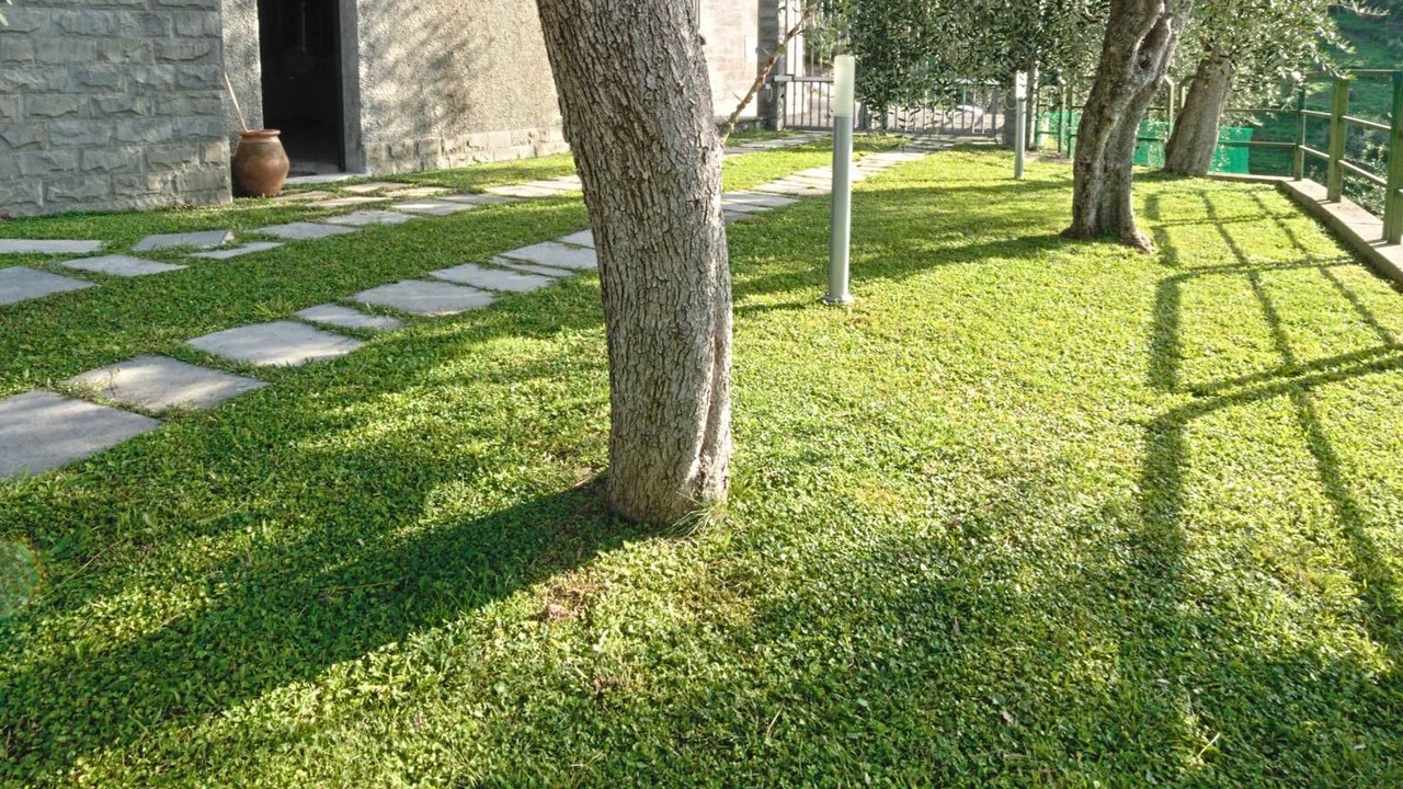 Photo of Outdoor in San Salvatore