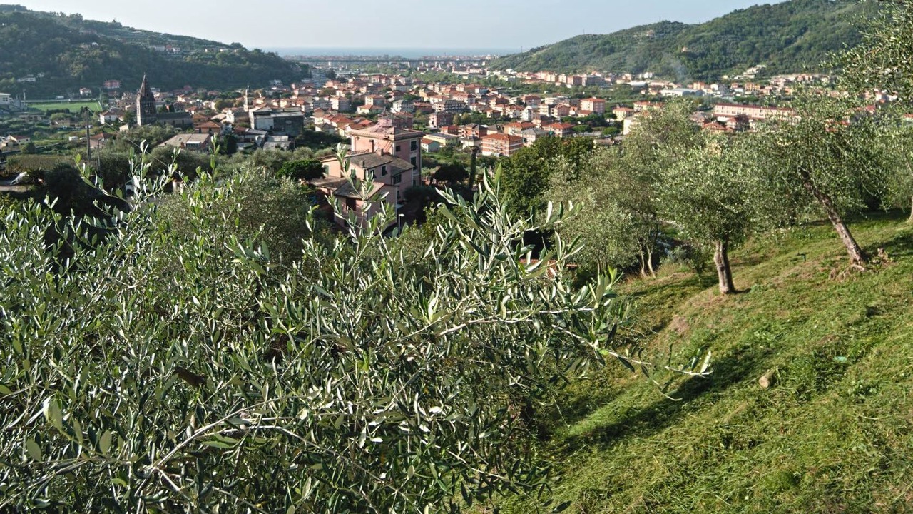 Photo of Others in San Salvatore