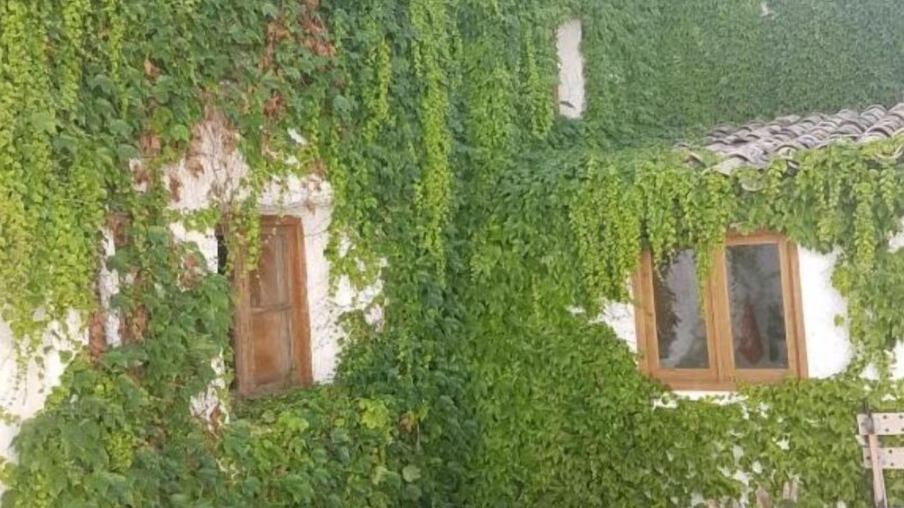 Photo of Outdoor in Quesada
