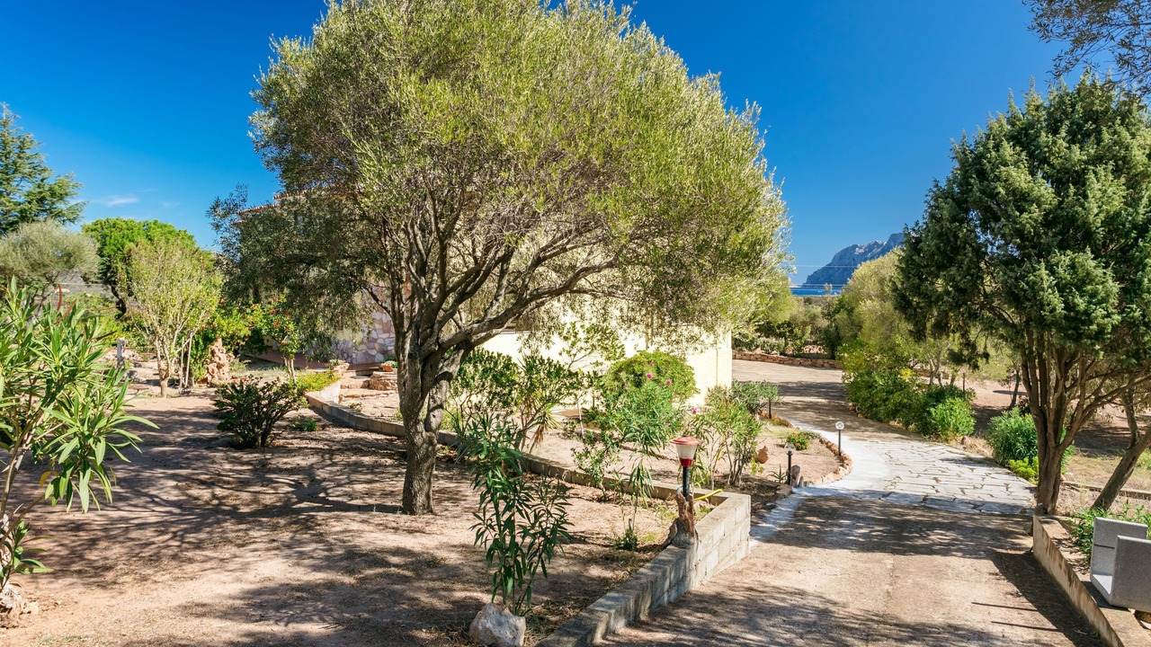 Photo of Outdoor in Tiriddo