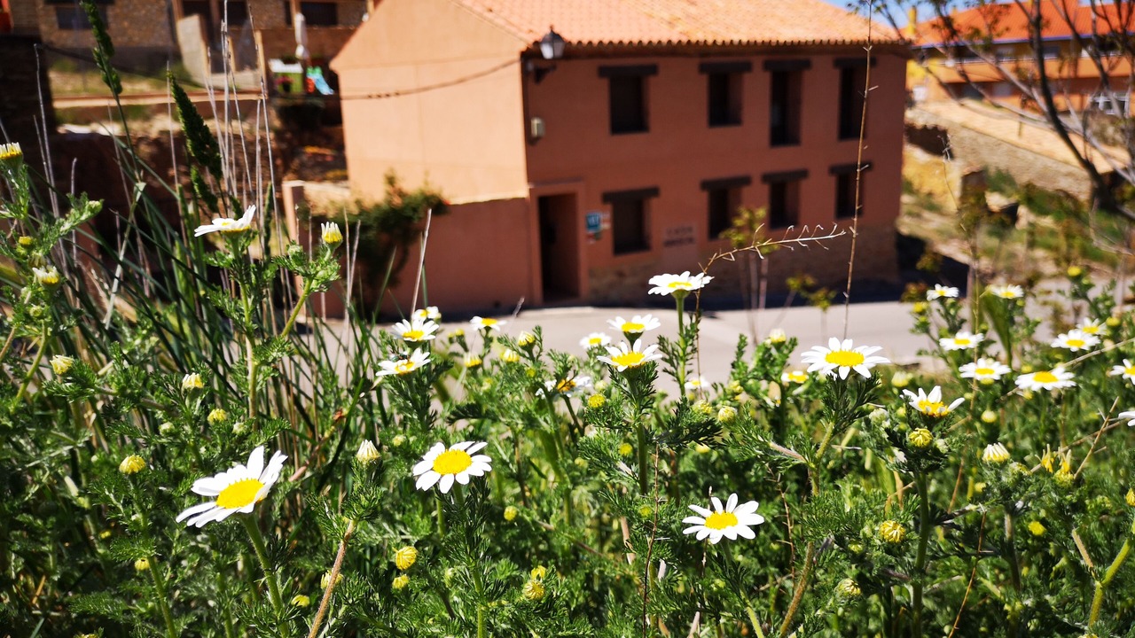Photo of Outdoor in Cella