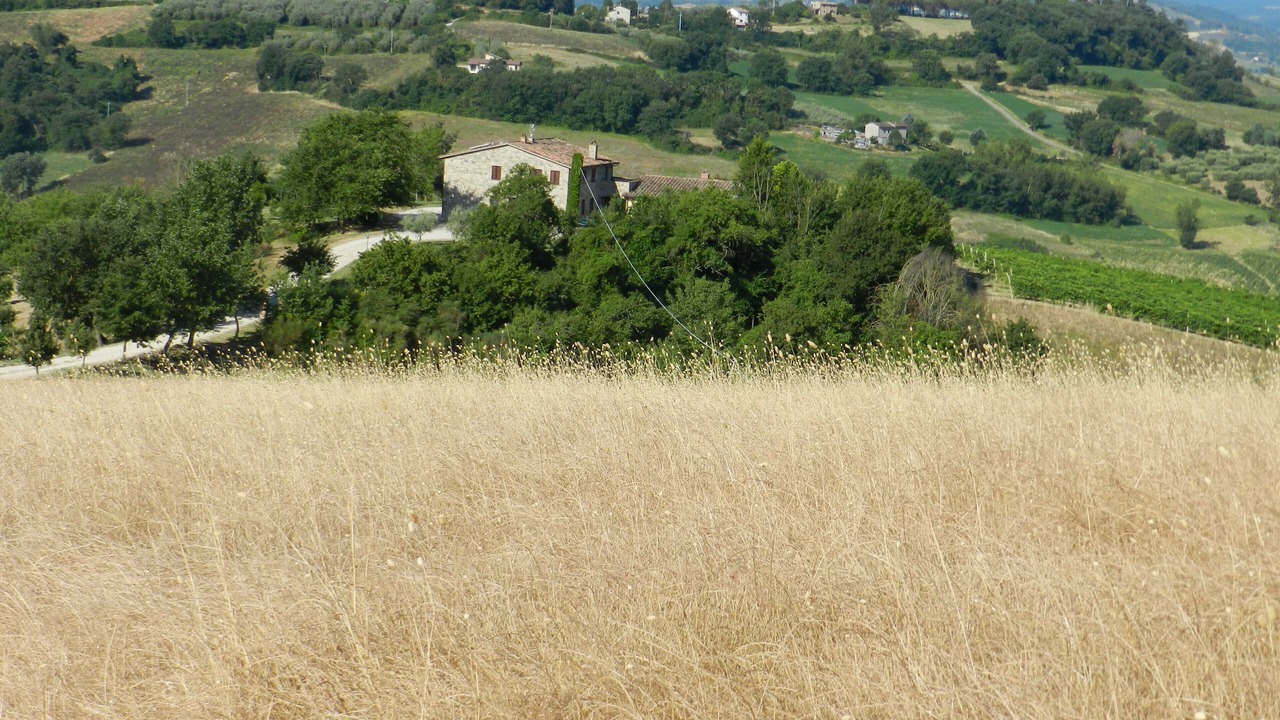 Photo of Outdoor in Loreto
