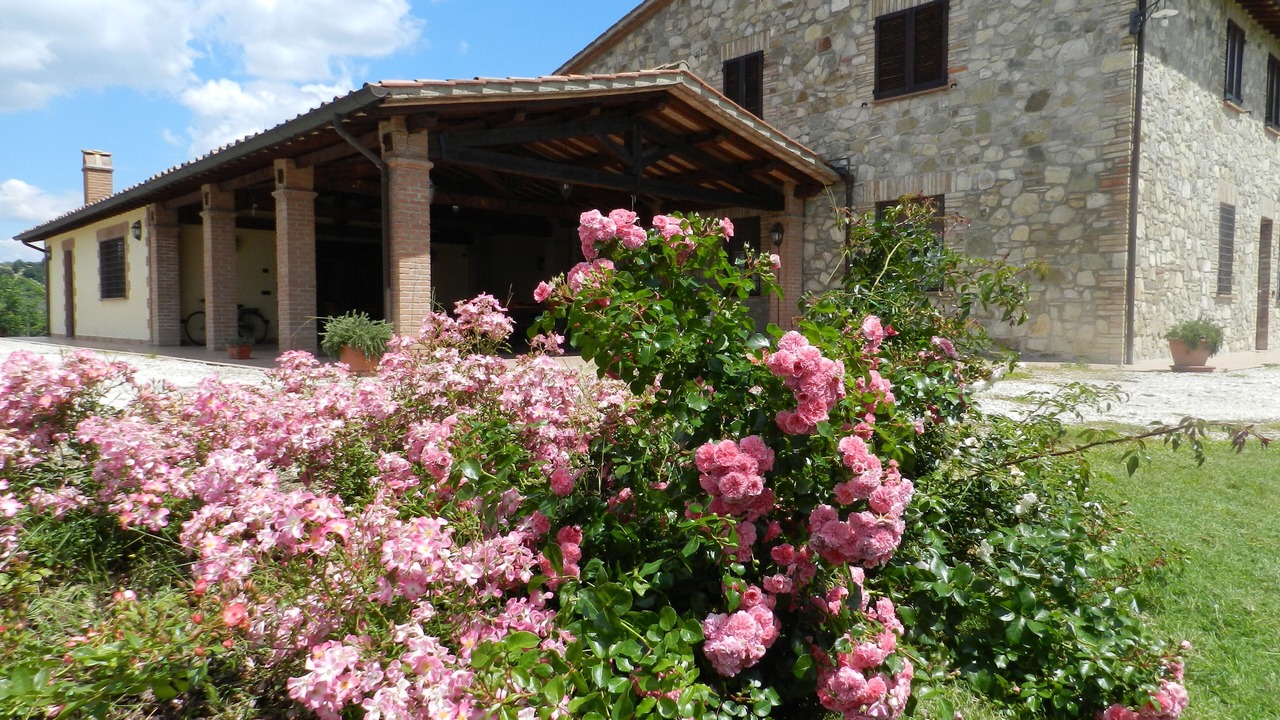 Photo of Outdoor in Collazzone