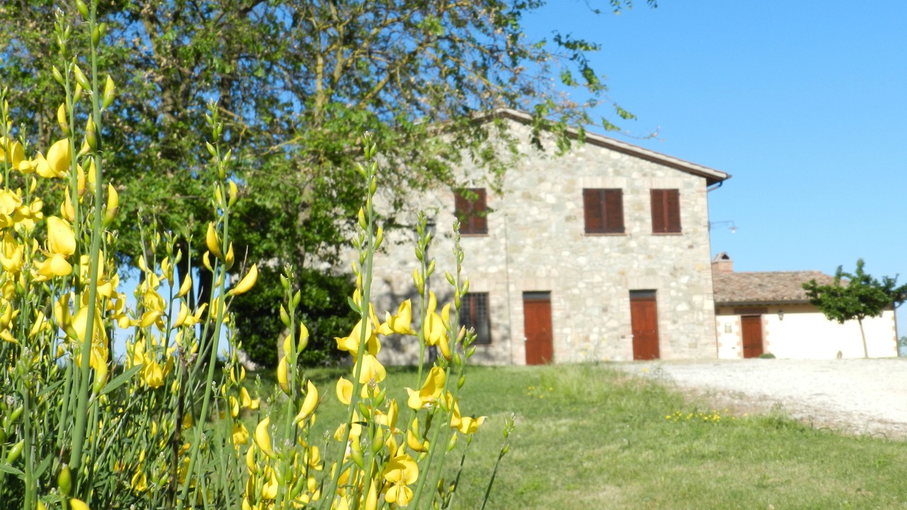 Photo of Outdoor in Collazzone