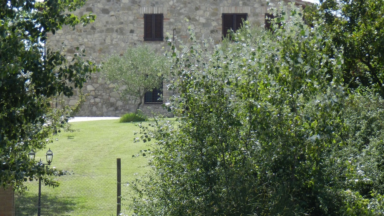 Photo of Outdoor in Collazzone