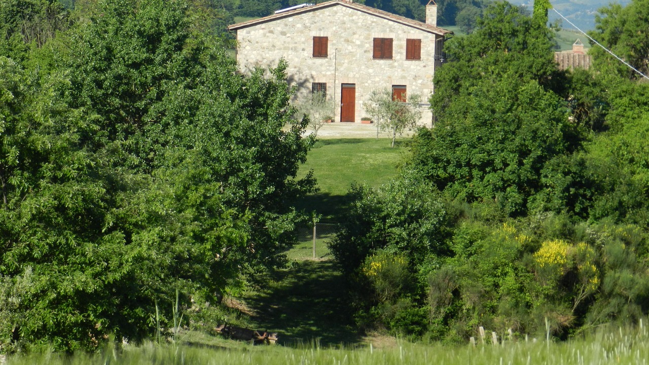 Photo of Outdoor in Collazzone
