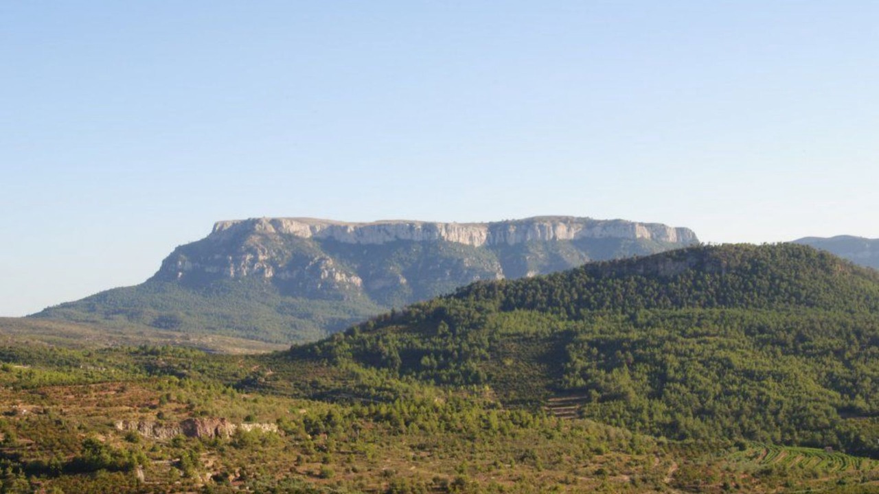 Photo of Others in Pradell de la Teixeta