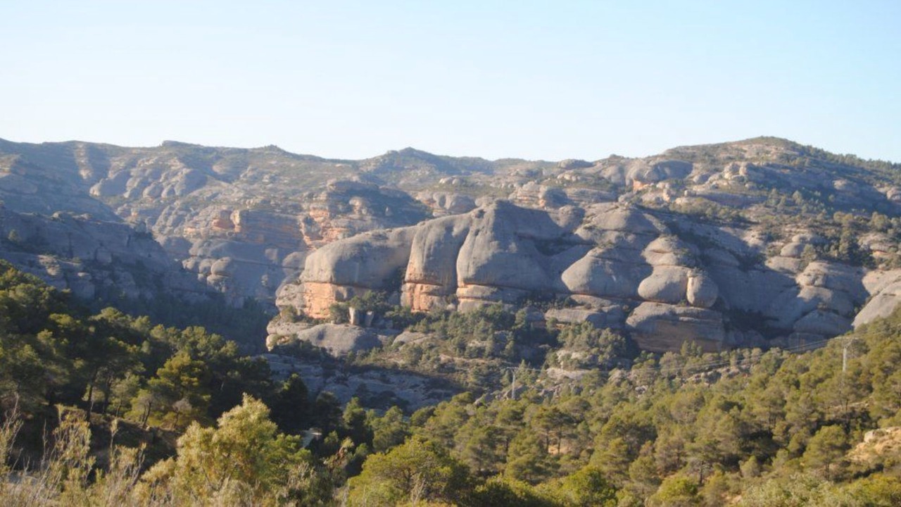 Photo of Outdoor in Pradell de la Teixeta