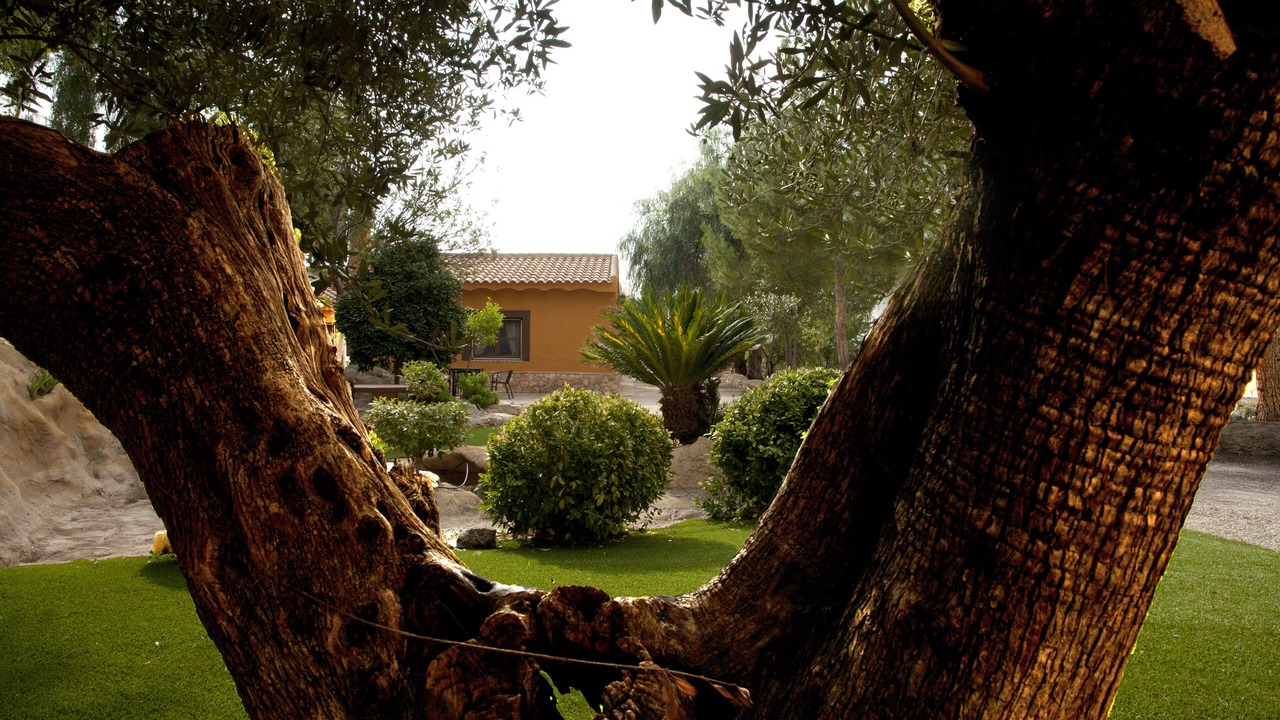 Photo of Outdoor in Gebas
