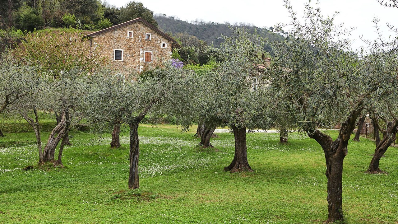 Photo of Outdoor in Carrara