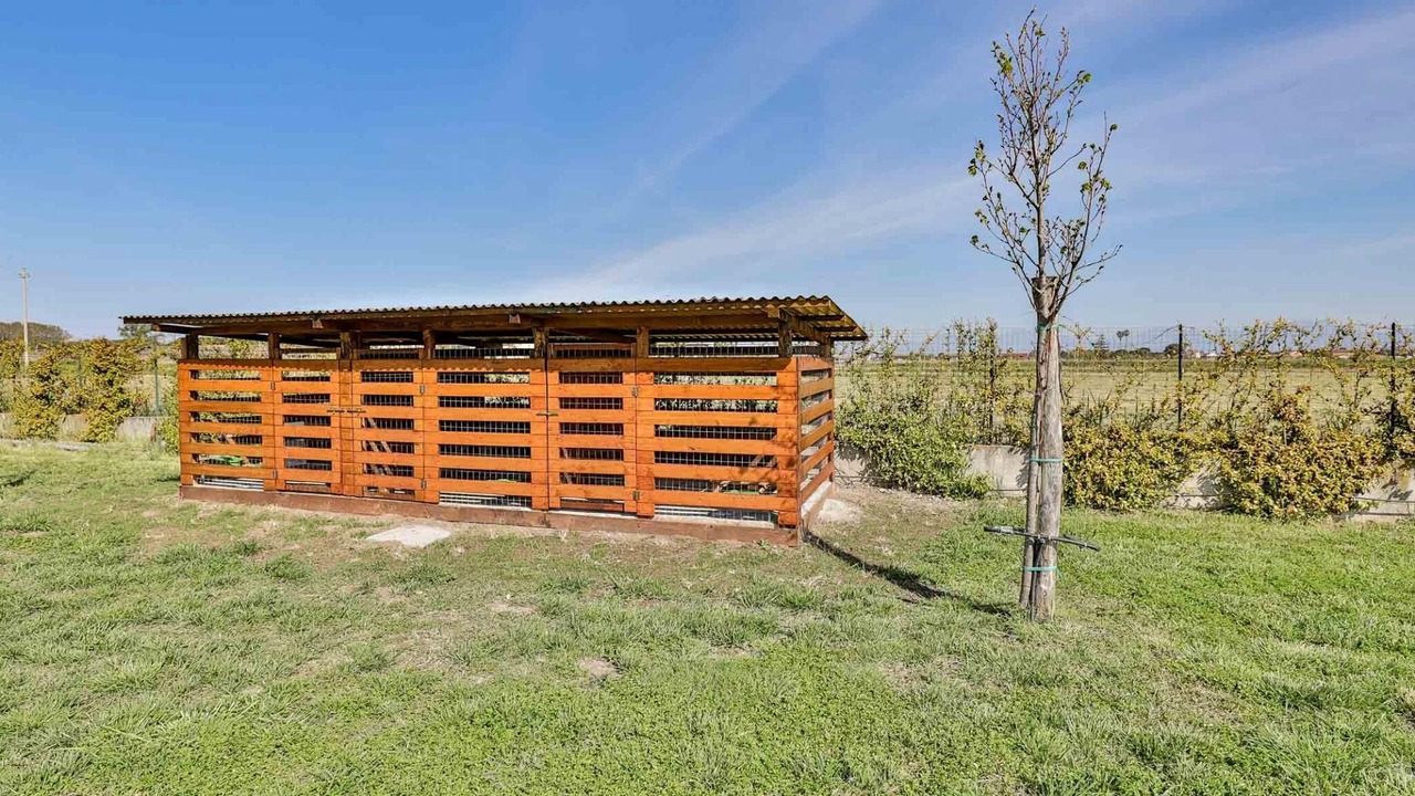 Photo of Outdoor in Capaccio Scalo