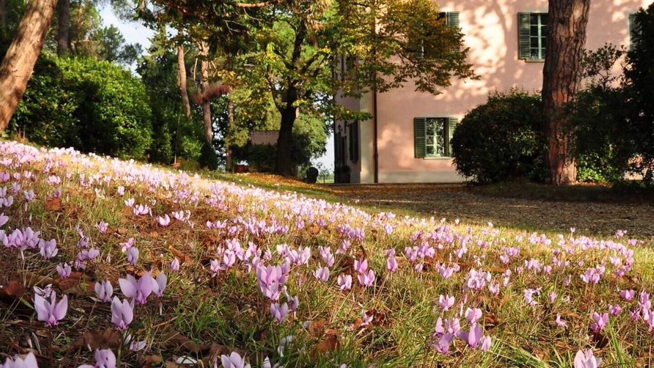 Photo of Outdoor in Dozza