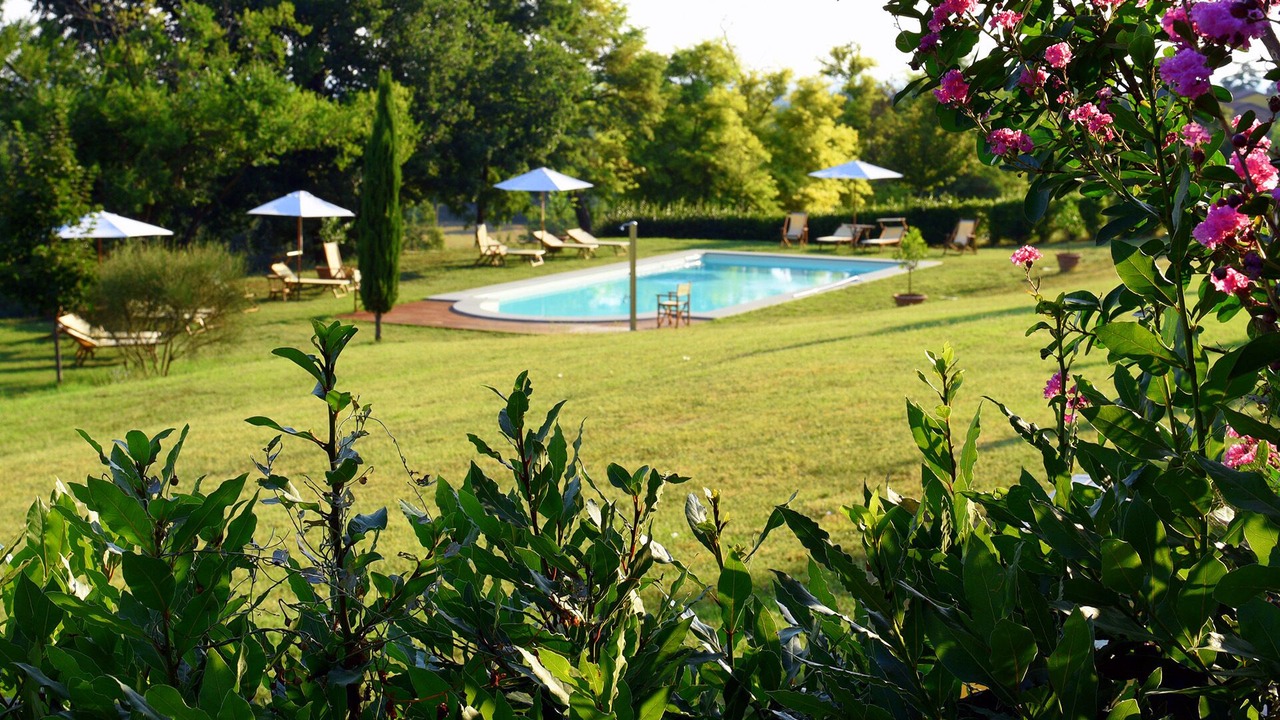 Photo of Outdoor in Dozza