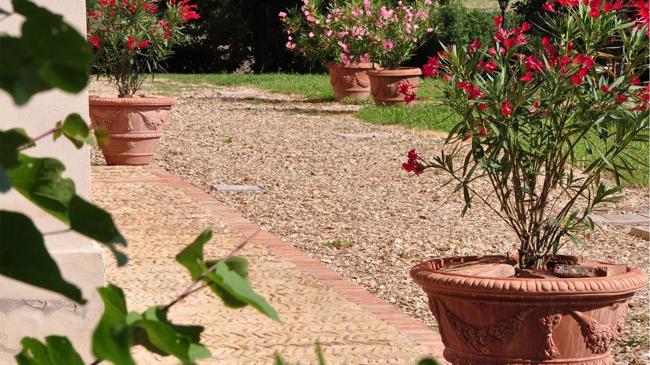 Photo of Outdoor in Dozza