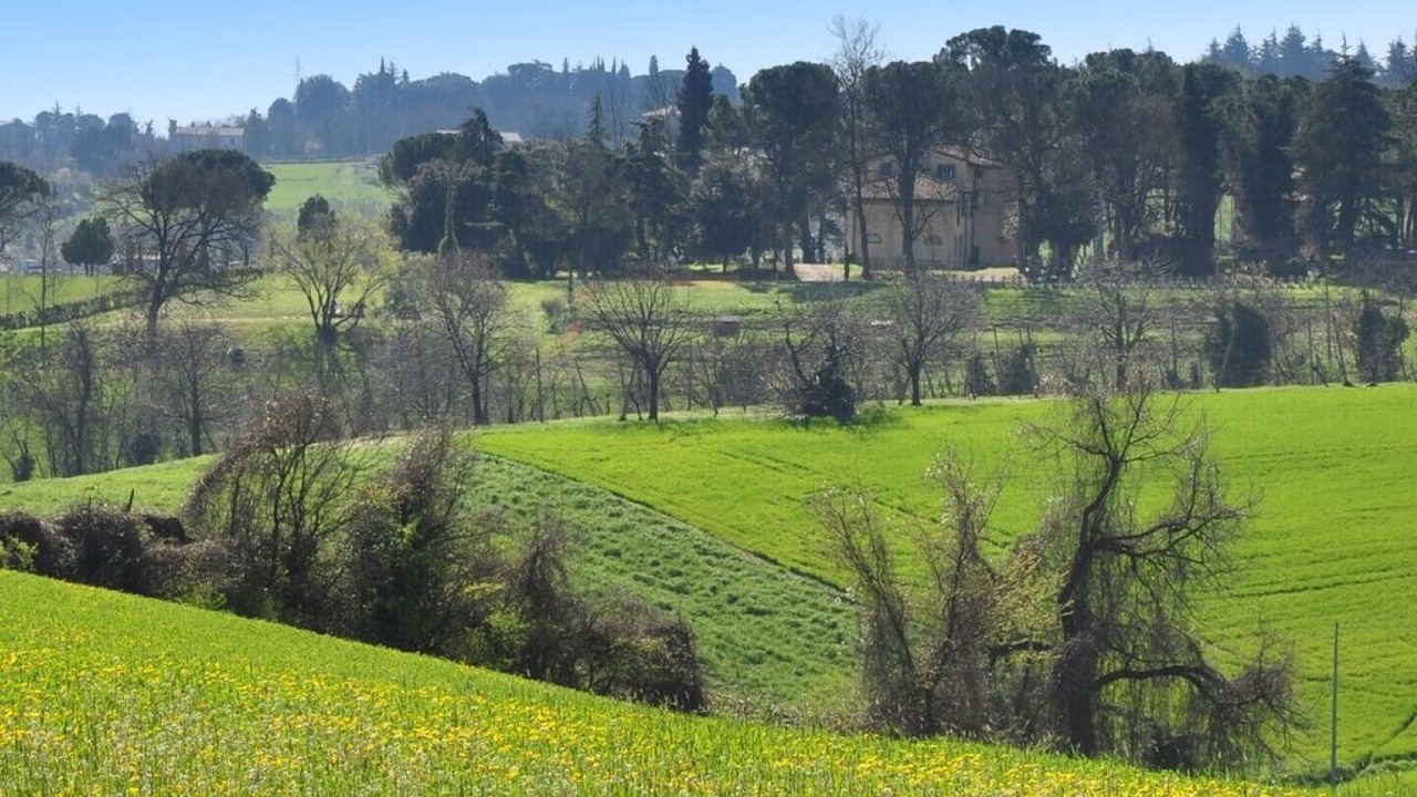 Photo of Outdoor in Dozza
