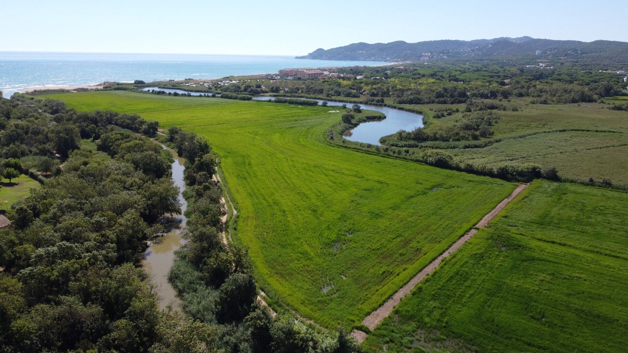 Photo of Outdoor in Mas Pinell