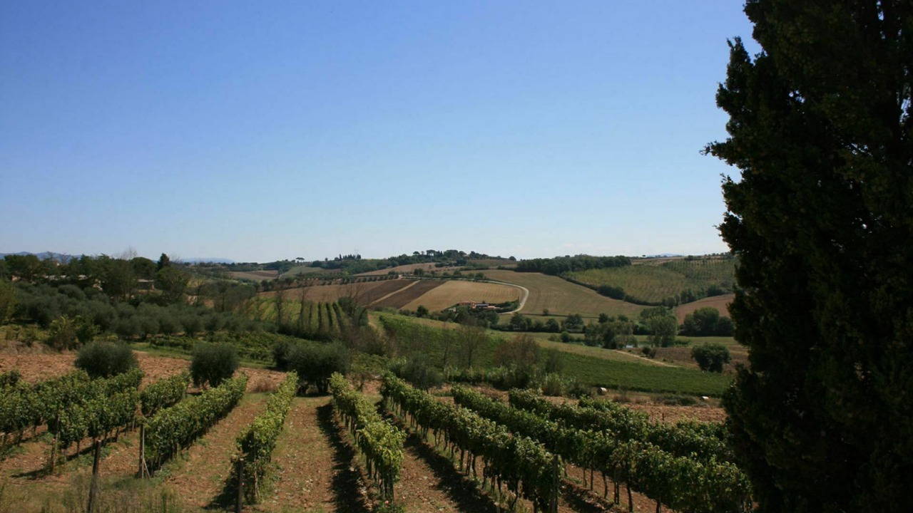 Photo of Others in Santarello