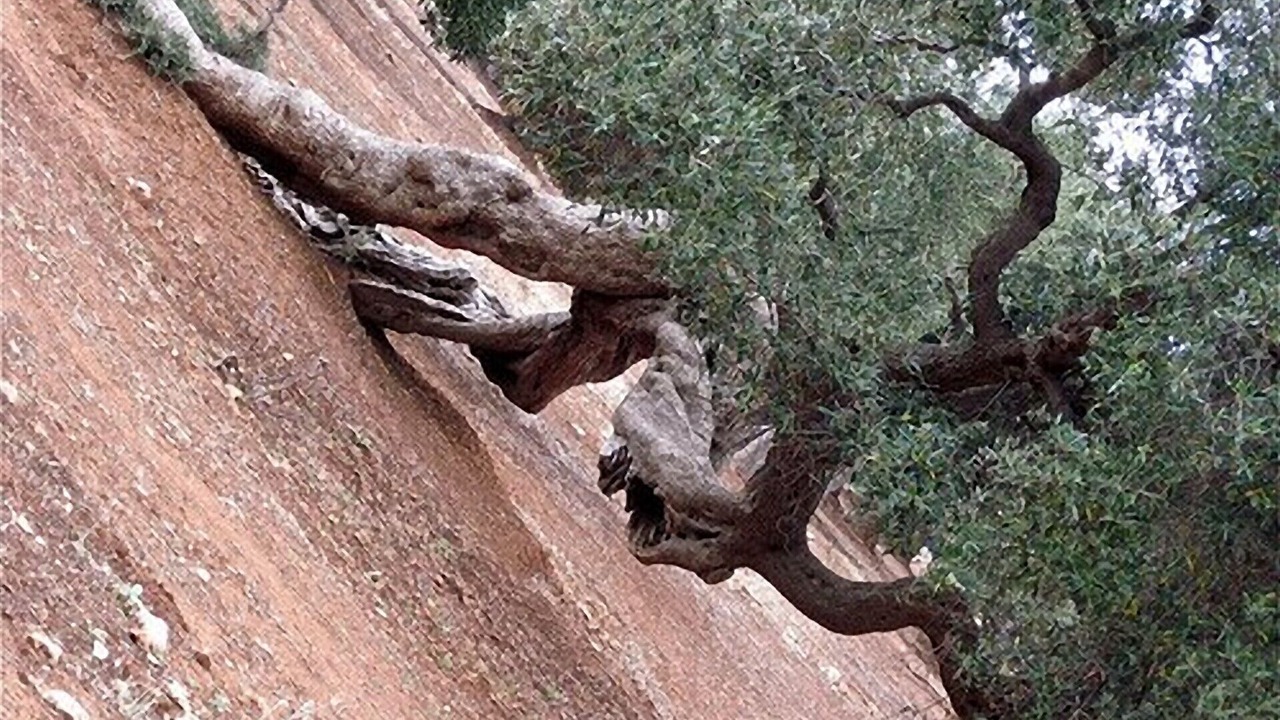 Photo of Outdoor in Conversano