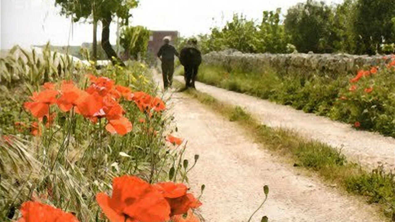 Photo of Outdoor in Conversano
