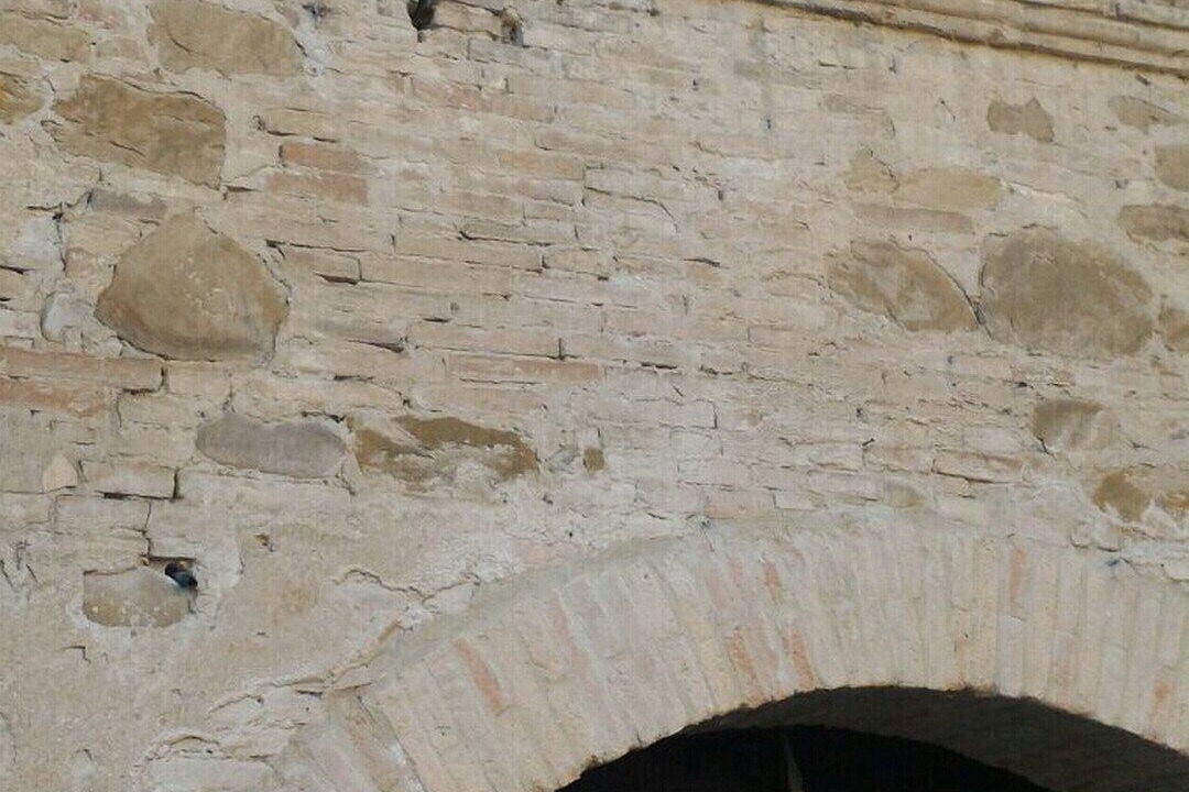 Photo of Outdoor in Petrignano