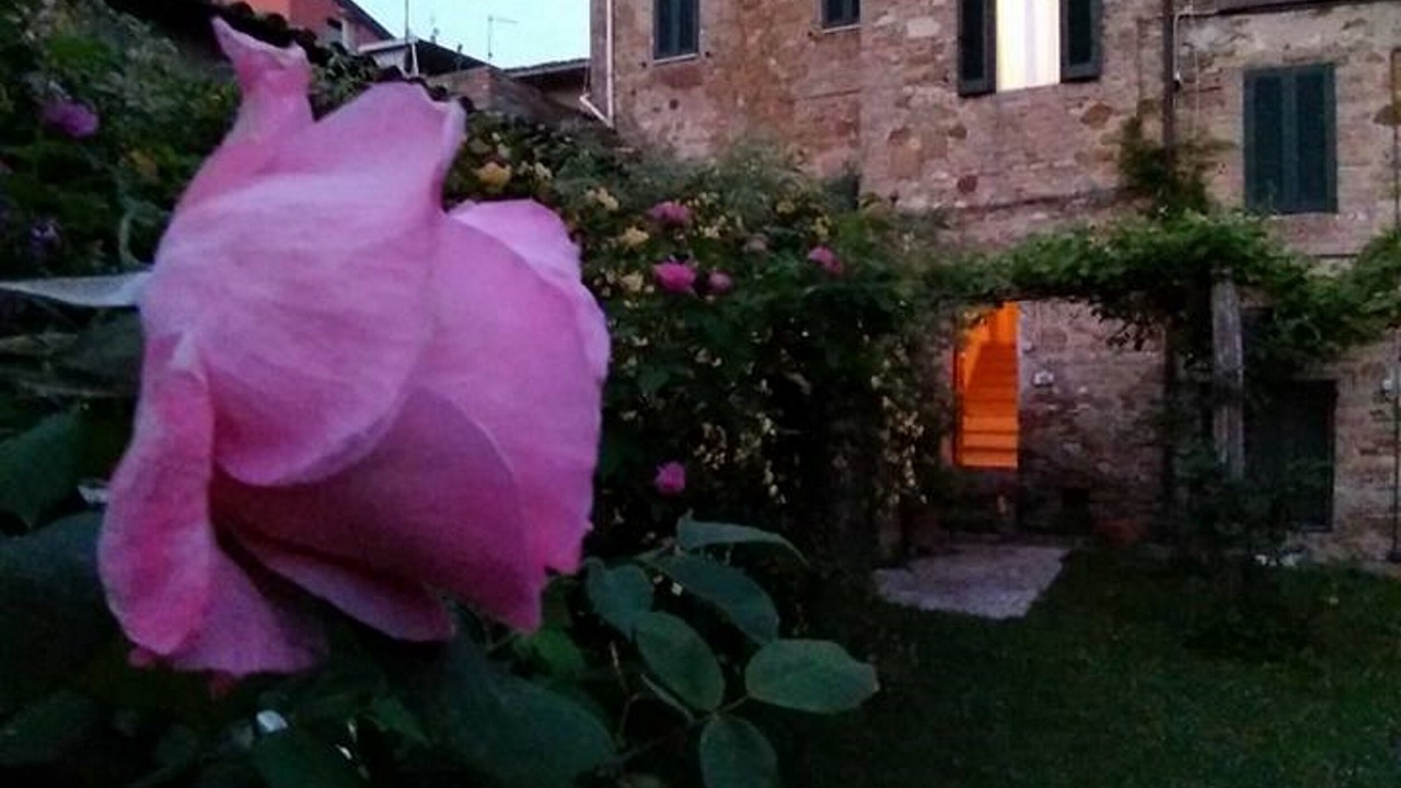 Photo of Outdoor in Petrignano