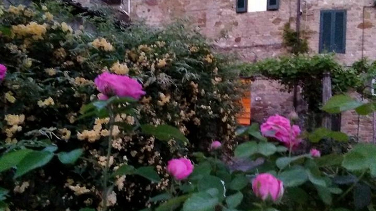 Photo of Outdoor in Petrignano