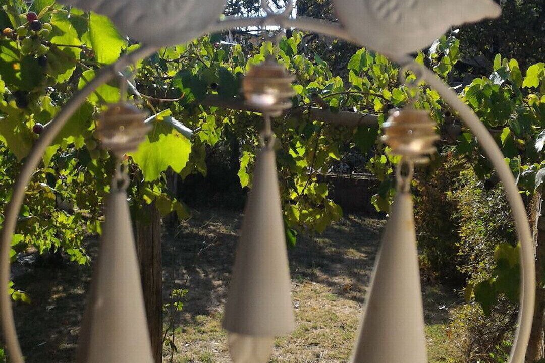 Photo of Outdoor in Petrignano