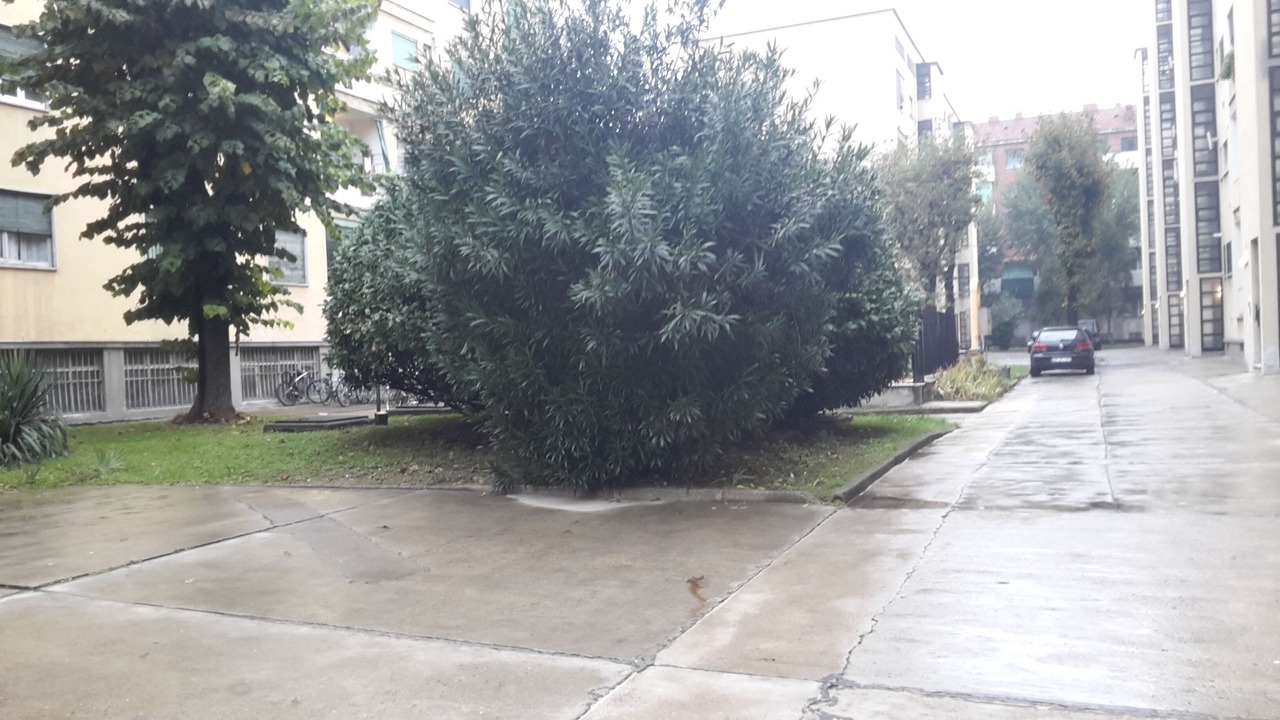 Photo of Outdoor in Acquabella