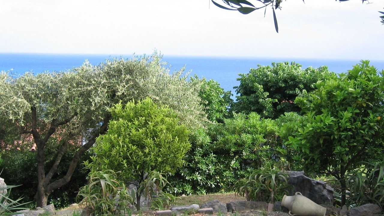 Photo of Others in Villammare