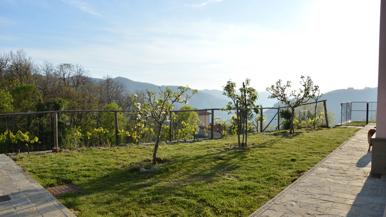 Photo of Outdoor in Velva