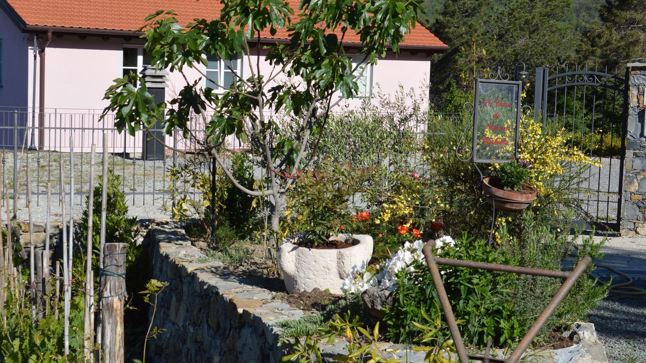 Photo of Outdoor in Velva